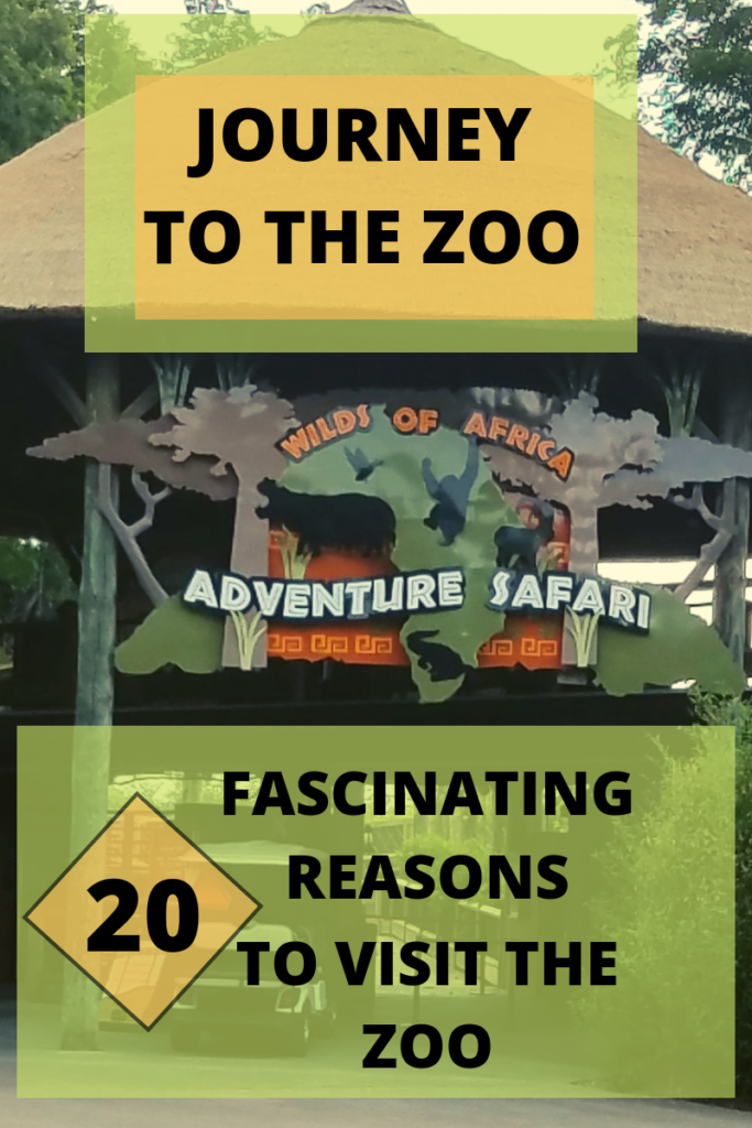 Take A Trip To The Zoo