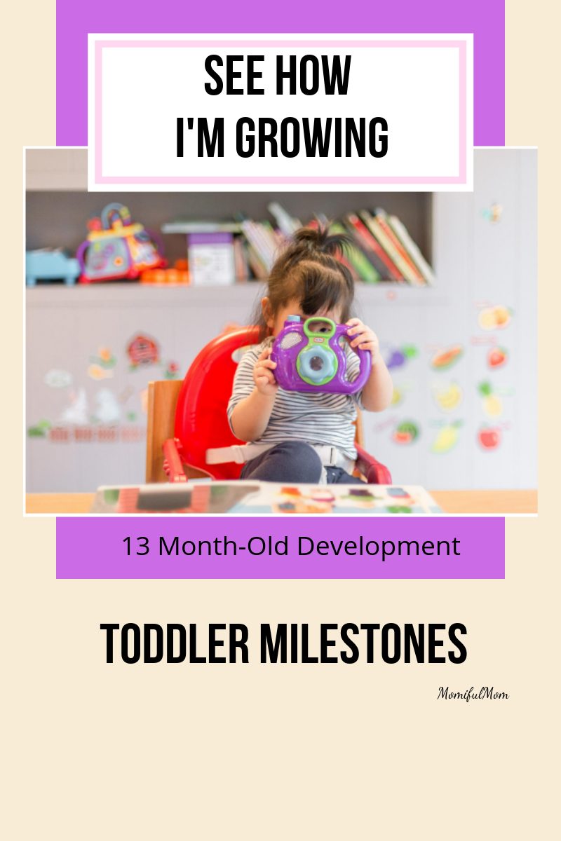 13 Month Old Development Milestones Toddler Month By Month - Bank2home.com