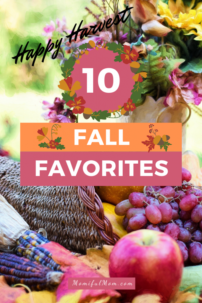 Fall Favorites: 10 Cozy Reasons To Fall